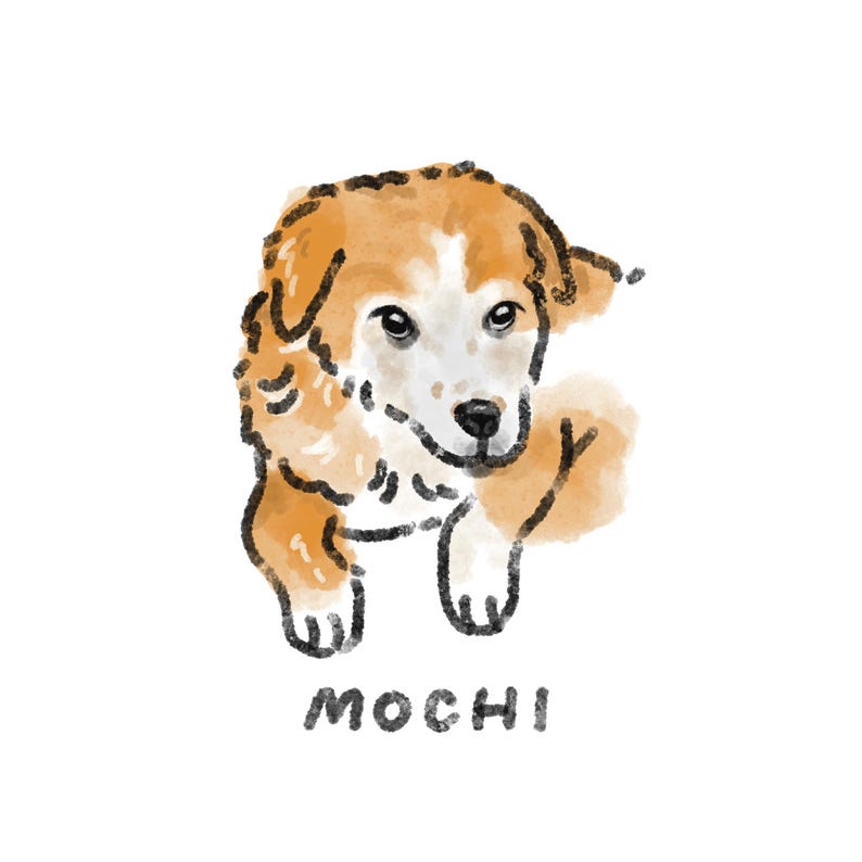 May include: Watercolor illustration of a dog with brown and white fur, and black outlines. The dog is lying down with its head tilted. The word "MOCHI" is written in black below the dog.