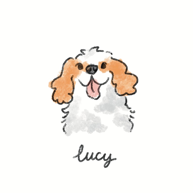 May include: A digital illustration of a Cavalier King Charles Spaniel dog with a happy expression. The dog has white and orange fur, a black nose, and a pink tongue. The name "lucy" is written in cursive below the dog.