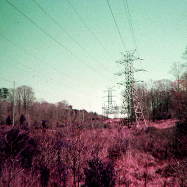 Memory of Spring, fine art print 8"x10" 35mm film photography lomography lomochrome purple outdoors nature nostalgic