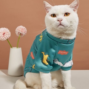Peut inclure: Un chat blanc portant une chemise &agrave; manches longues bleu sarcelle avec un imprim&eacute; de dinosaure de dessin anim&eacute;. La chemise porte les mots "hello" et "play" imprim&eacute;s dessus.