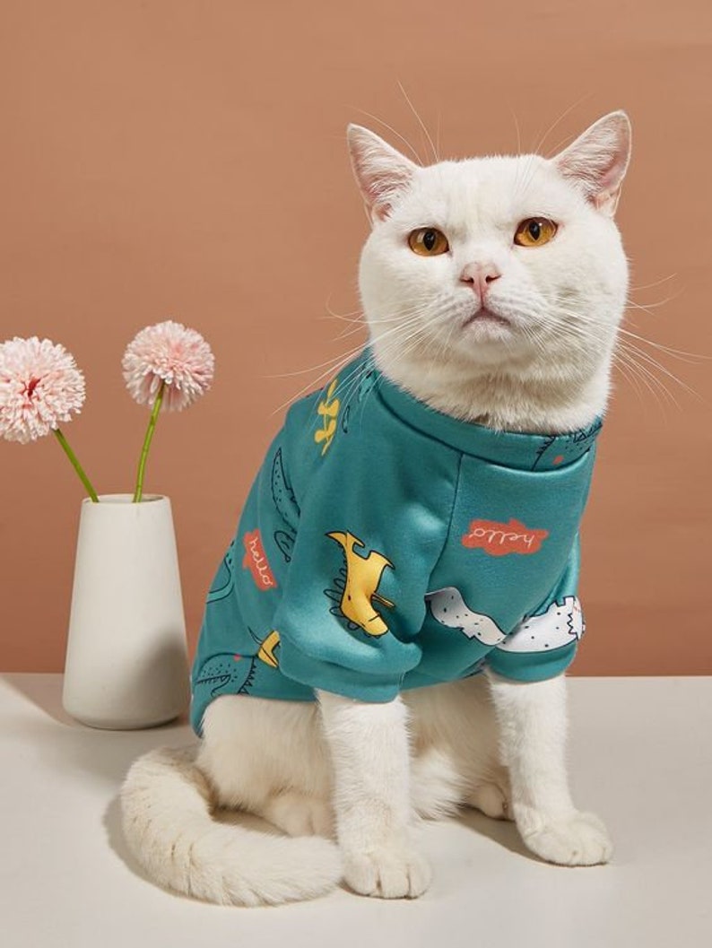 Peut inclure: Un chat blanc portant une chemise &agrave; manches longues bleu sarcelle avec un imprim&eacute; de dinosaure de dessin anim&eacute;. La chemise porte les mots "hello" et "play" imprim&eacute;s dessus.