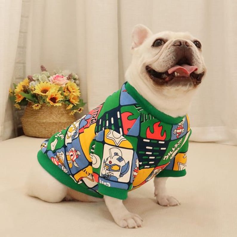 Peut inclure: Un bouledogue fran&ccedil;ais blanc portant un pull pour chien vert, jaune, rouge et bleu avec un motif de personnage de dessin anim&eacute;.