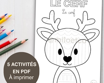 5 Children's Art Worksheets: Animals to Trace - Fine Motor Skills, Pedagogical Preparation for Writing - Printable PDF File