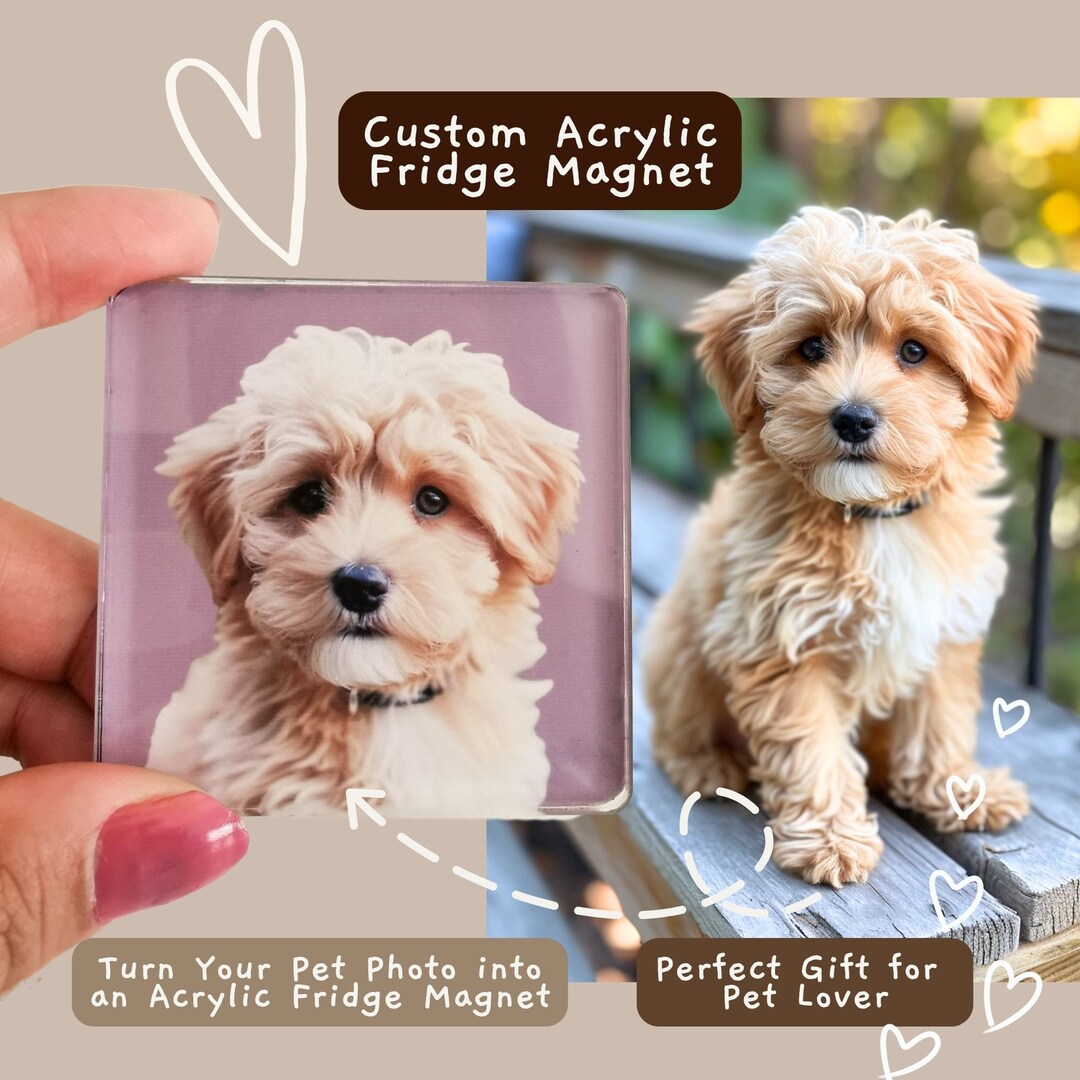 Custom Acrylic Photo Fridge Magnets, Personalized Pet Magnets, Dog Cat ...