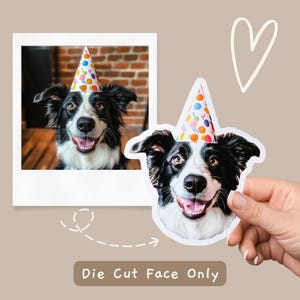 May include: A black and white border collie dog wearing a colorful party hat. The dog is smiling and looking at the camera. The image is a die cut sticker of the dog's face only.