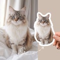 Custom Pet Sticker, Die Cut Vinyl Waterproof, Personalized Gift, Custom Dog Sticker, Custom Cat Sticker, Water Bottle Sticker, Pet Decal