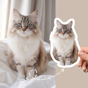 Sticker personnalisé pour animal de compagnie, Vinyle découpé imperméable à l'eau, Cadeau personnalisé, Sticker chien personnalisé, Sticker chat personnalisé, Sticker bouteille d'eau, Sticker animal de compagnie