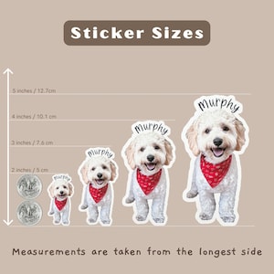 May include: Four different sizes of white dog stickers with red bandanas. The stickers are labeled "Murphy" and measure 5 inches, 4 inches, 3 inches, and 2 inches.