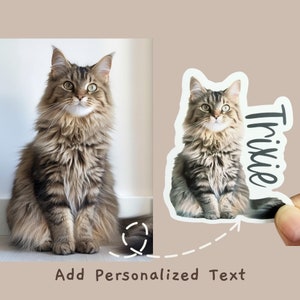 May include: A sticker featuring a brown and gray tabby cat sitting with the name "Trixie" written vertically on the right side of the sticker.