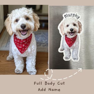 May include: A white dog with a red bandana is standing on a wooden floor. The dog is smiling and has its tongue sticking out. The dog's name, "Murphy", is written on a silver background.