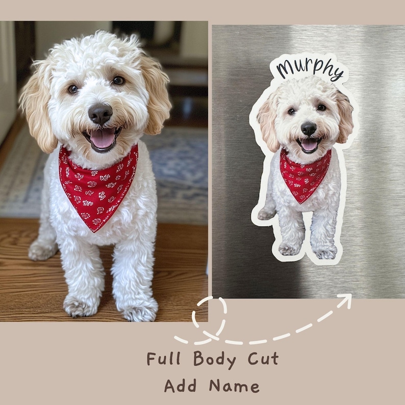 May include: A white dog with a red bandana is standing on a wooden floor. The dog is smiling and has its tongue sticking out. The dog's name, "Murphy", is written on a silver background.