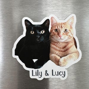 May include: A black cat and an orange tabby cat are sitting side by side. The black cat is on the left and the orange tabby is on the right. The cats are looking at the camera. The text "Lily & Lucy" is written below the cats.