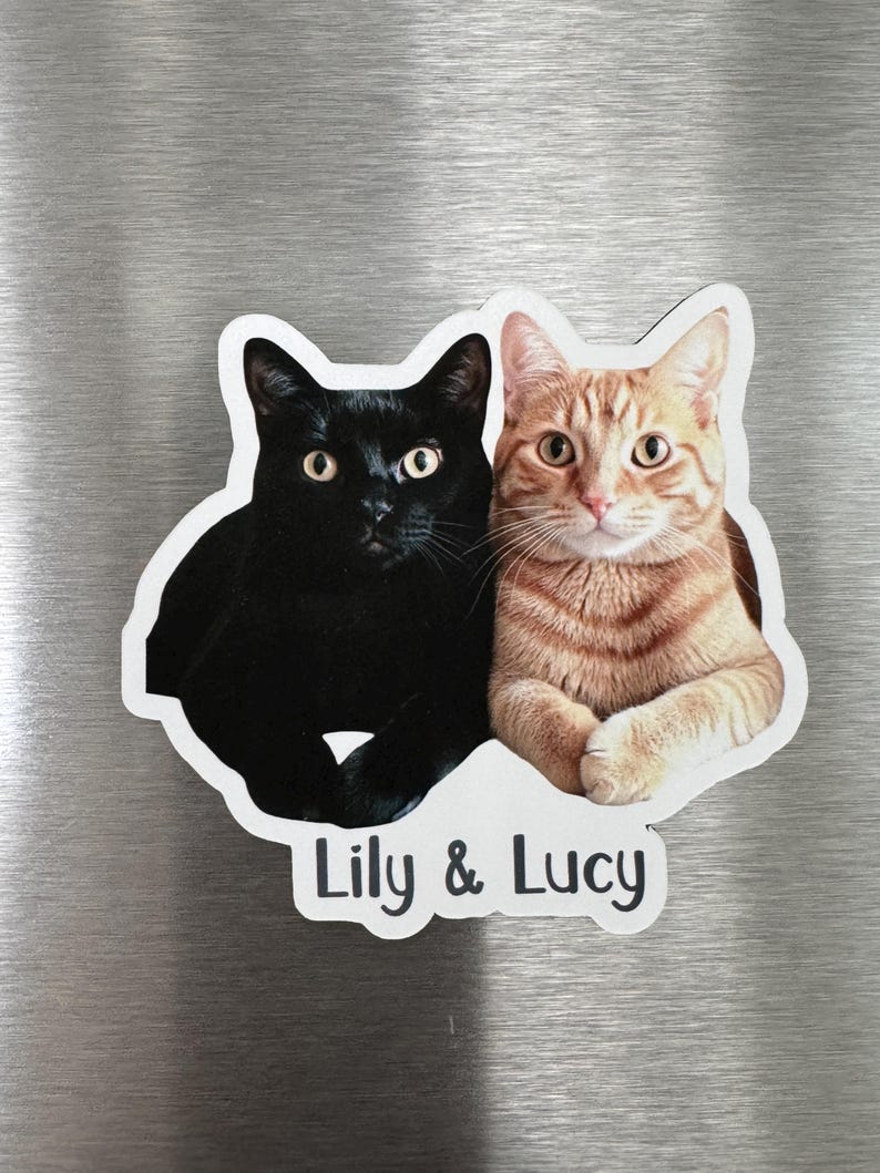 May include: A black cat and an orange tabby cat are sitting side by side. The black cat is on the left and the orange tabby is on the right. The cats are looking at the camera. The text "Lily & Lucy" is written below the cats.