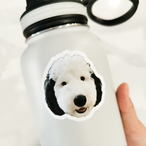 May include: White water bottle with a black lid and a black and white dog sticker on the side.