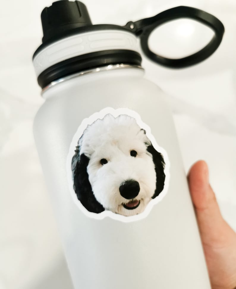 May include: White water bottle with a black lid and a black and white dog sticker on the side.
