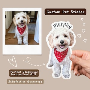 Sticker personnalisé pour animal de compagnie, Vinyle découpé imperméable à l'eau, Cadeau personnalisé, Sticker chien personnalisé, Sticker chat personnalisé, Sticker bouteille d'eau, Sticker animal de compagnie