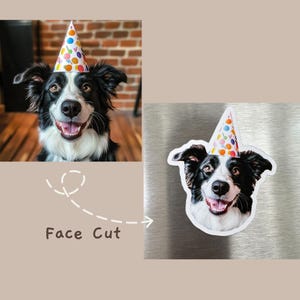 May include: A black and white border collie dog wearing a colorful party hat with a white background. The dog is looking at the camera and has its mouth open in a smile.