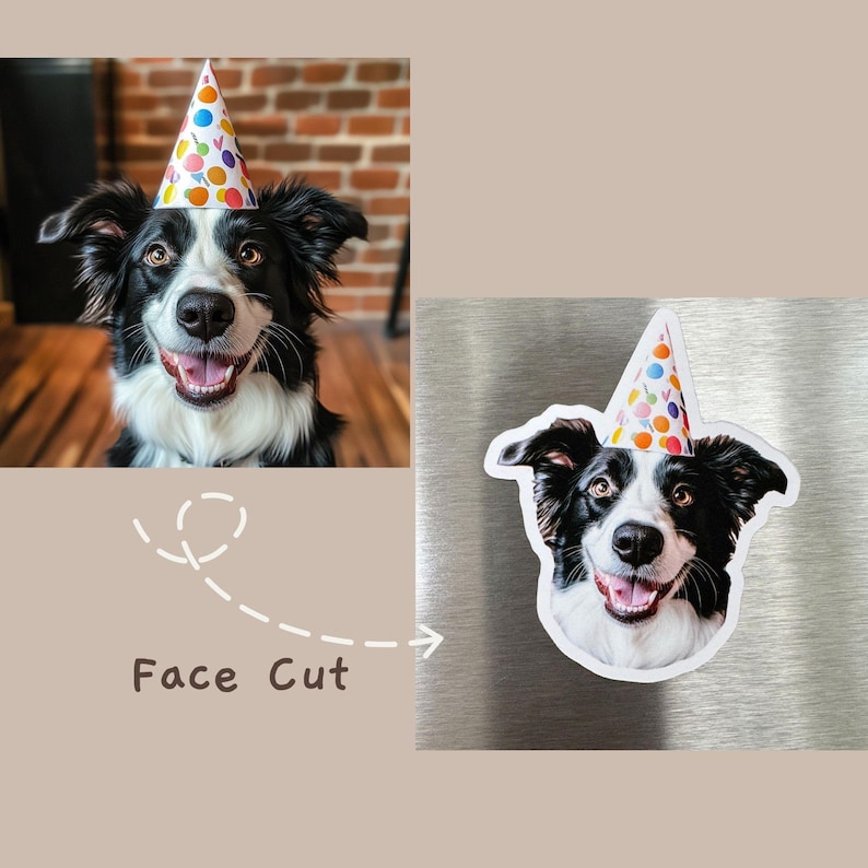 May include: A black and white border collie dog wearing a colorful party hat with a white background. The dog is looking at the camera and has its mouth open in a smile.