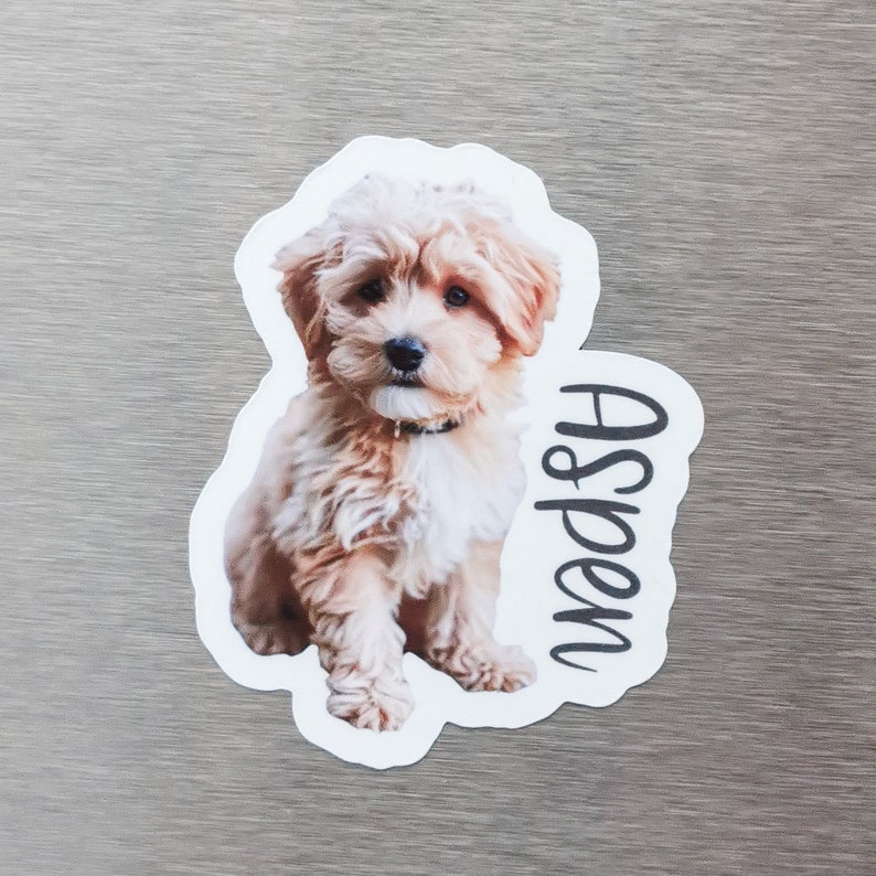 May include: A white sticker with a photo of a small, light brown dog with a white chest. The dog is sitting and looking at the camera. The text "Aspen" is written vertically on the right side of the sticker.