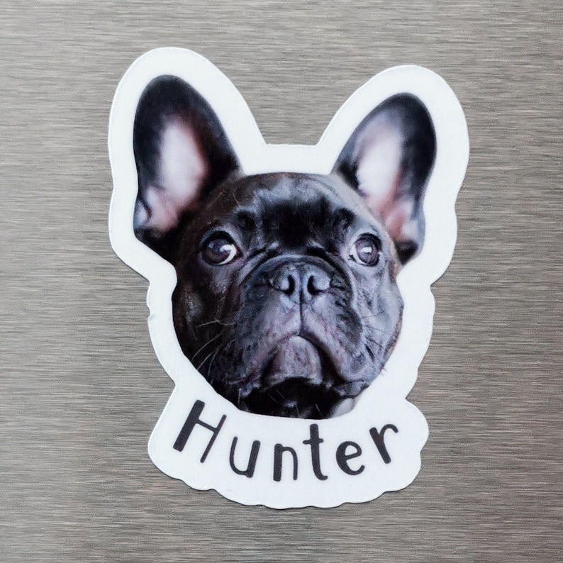 May include: A white sticker with a black French Bulldog's head and the name "Hunter" printed below.