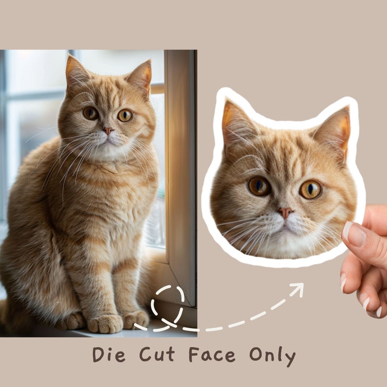 May include: A die-cut sticker of a cat's face. The sticker is orange and white and shows the cat's face with its eyes open and looking directly at the camera. The sticker is on a light brown background.