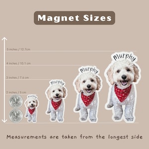 May include: Four different sizes of dog magnets, each with a white dog wearing a red bandana and the name "Murphy" printed on the magnet. The magnets are shown next to a ruler with measurements in inches and centimeters.
