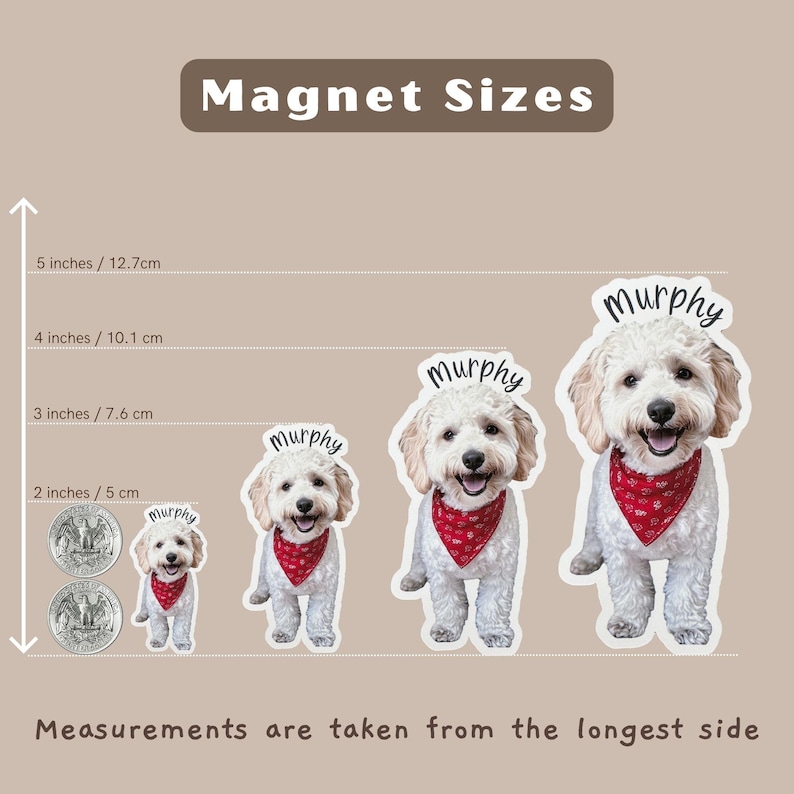 May include: Four different sizes of dog magnets, each with a white dog wearing a red bandana and the name "Murphy" printed on the magnet. The magnets are shown next to a ruler with measurements in inches and centimeters.