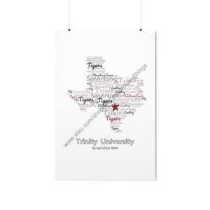 Trinity University Wall Decor