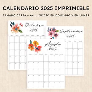 Calendario 2025 para imprimir · PDF de 12 páginas · Tropical Treasure