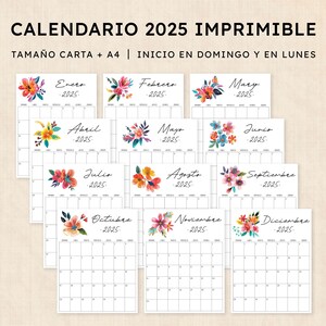 Calendario 2025 para imprimir · PDF de 12 páginas · Tropical Treasure
