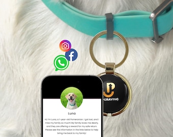 Etiqueta NFC para perros / Identificación inteligente para mascotas para collar