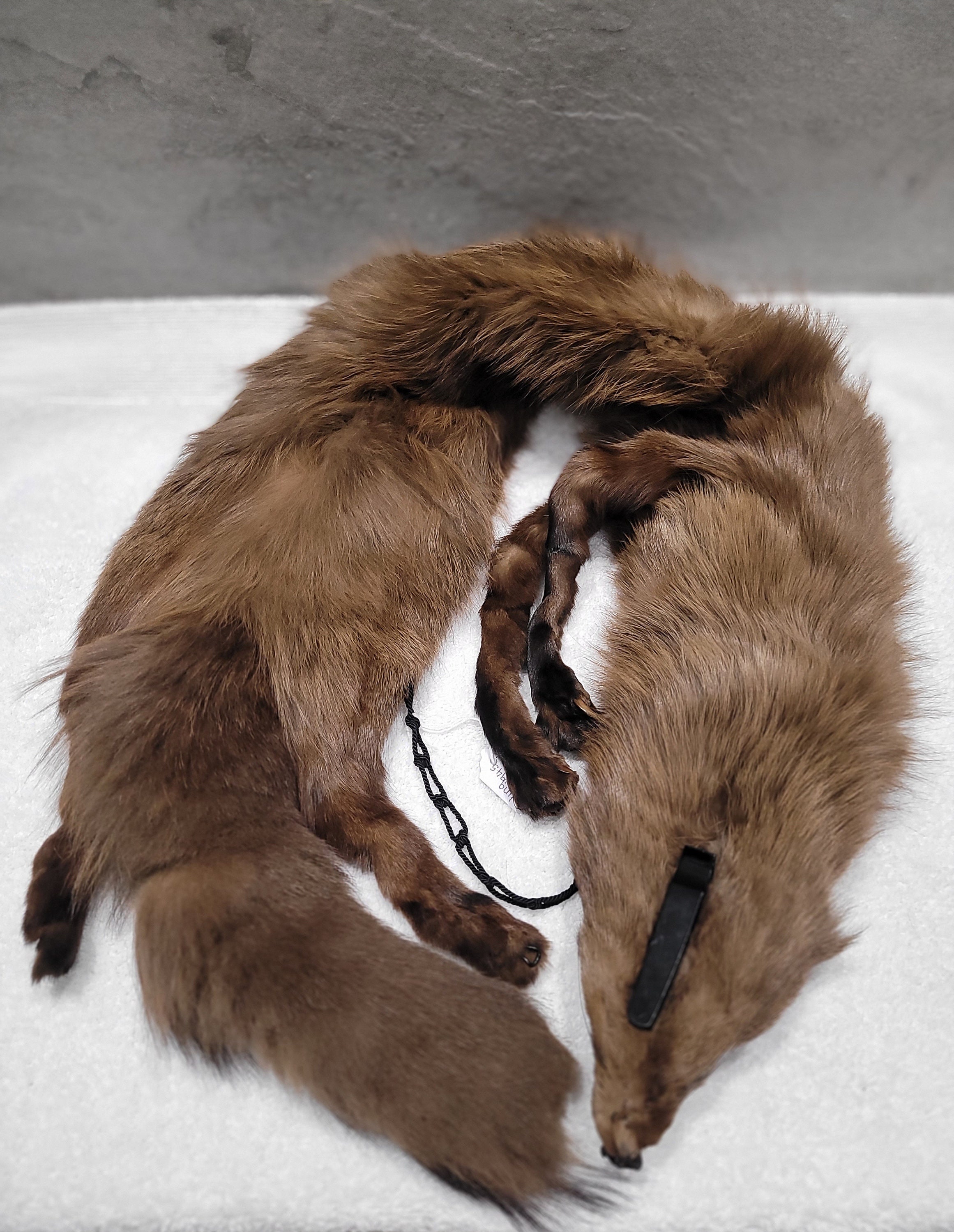 Vintage Fox Stole Etsy