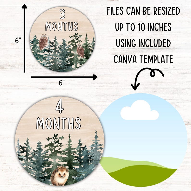 Woodland Animals Baby Monthly Milestone Marker PNG Bundle Baby ...