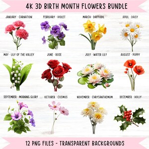Bundle de cliparts fleur mois de naissance, bricolage fleur de naissance Png, impression fleur mois de naissance, clipart botanique, aquarelle florale PNG
