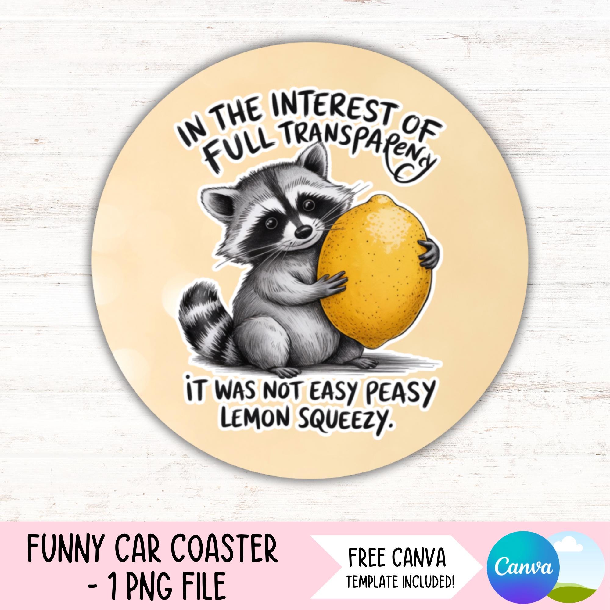 Funny Raccoon Car Coaster PNG Funny Cup Holder Sublimation Design Sarcastic Quotes Round Keychain Design Sassy Car Ornament Snarky Png