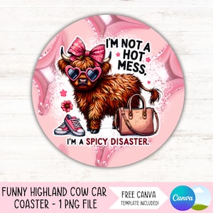 Cartoon Funny Car Washing With Water Pipe And Sponge, Adorable, Auto