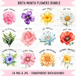 Pacote PNG de buquê de flores do mês de nascimento, flor de nascimento DIY Png, impressão de flores do mês de nascimento, clipart botânico, design PNG floral em aquarela