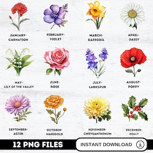 Pacchetto PNG di fiori del mese di nascita fai da te, file digitali di fiori del mese di nascita, stampa di fiori del mese di nascita, clipart botanici, download digitali floreali ad acquerello