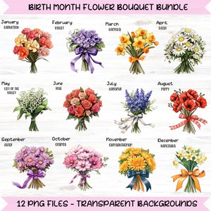 Pacchetto Png di bouquet di fiori del mese di nascita, Png di fiori di nascita fai da te, stampa di fiori del mese di nascita, clipart botanica, disegno floreale dell'acquerello Png