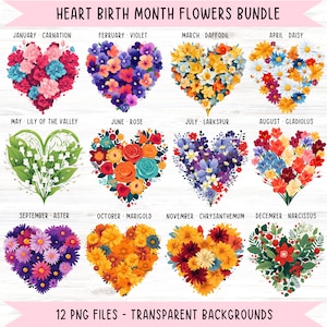 Bundle PNG fleur de naissance, clipart fleur de naissance, impression fleur de naissance, jardin de grand-mère, jardin de grand-mère, clipart botanique, jardin de Mimi