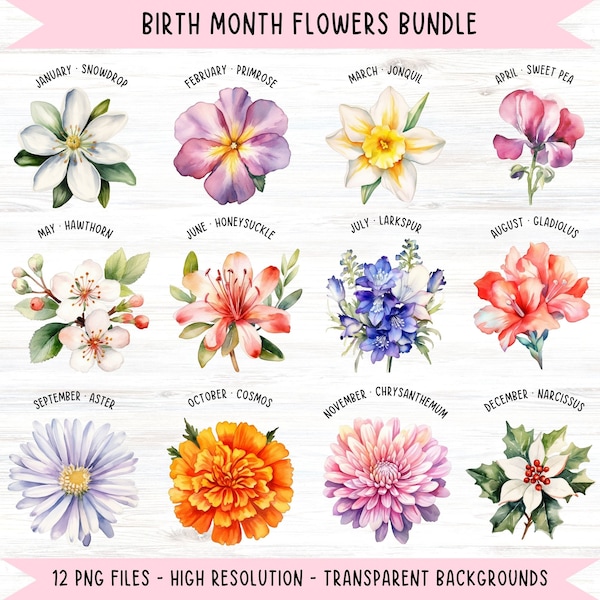 Birth Flower Clipart Grandma's Garden Graphics Floral Set Birth Month Flower PNG Bundle Mother's Day Gift Idea for Her Birthday