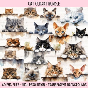 Lot de graphiques de chat, fichiers PNG furtivement chat, clipart chaton, chat mignon PNG, illustration tigré, aquarelle chats Png, sublimation de chat coucou