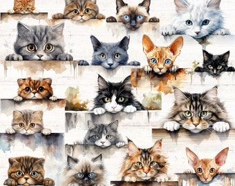 Katzengrafik-Bundle, spähende Katze PNG-Dateien, Kätzchen Clipart, süße Katze PNG, getigerte Illustration, Aquarellkatzen Png, Peekaboo-Katzensublimation