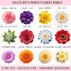 Pacchetto PNG bouquet di fiori del mese di nascita, Png fiore di nascita fai da te, stampa fiore del mese di nascita, clipart botanica, disegno PNG floreale dell'acquerello