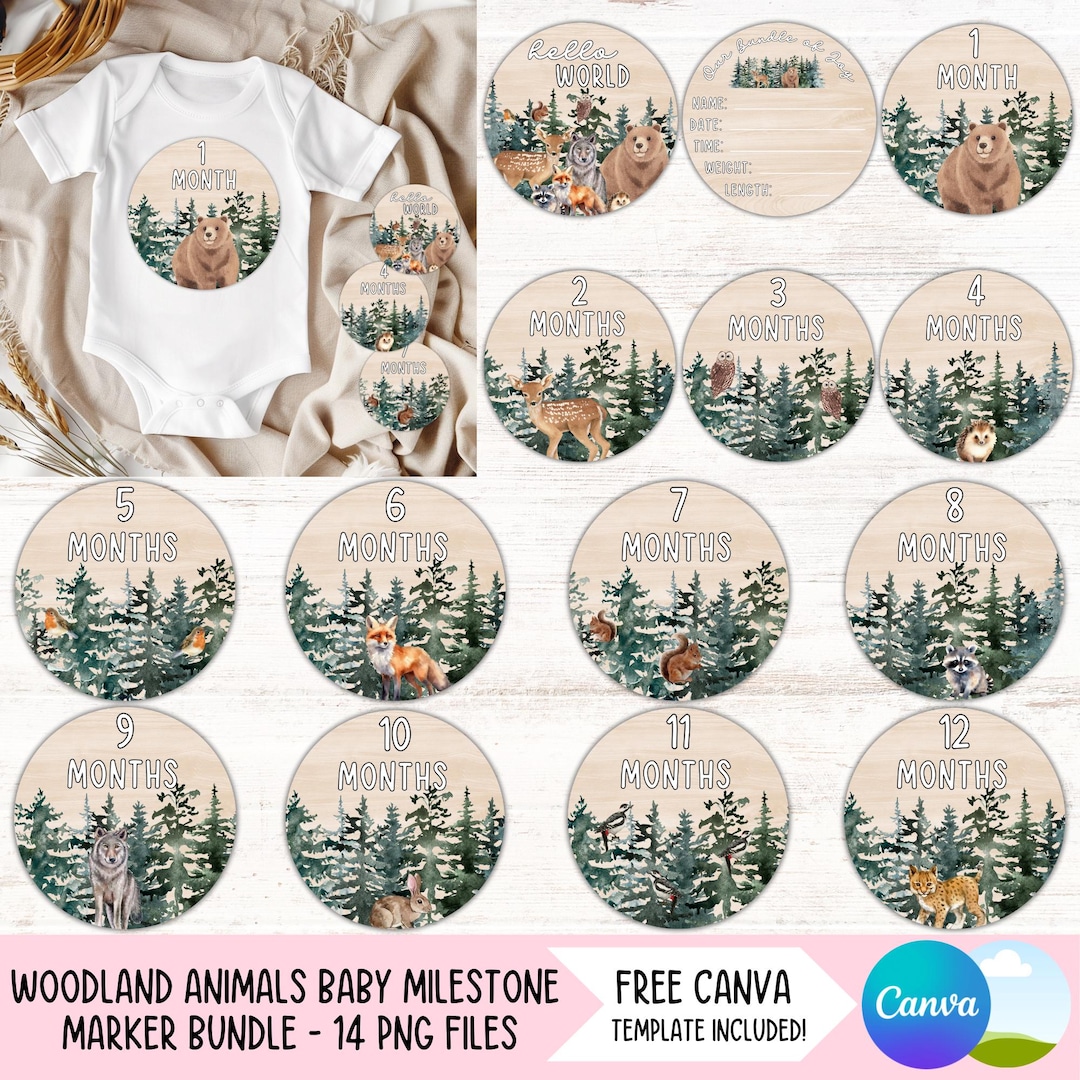 Woodland Animals Baby Monthly Milestone Marker PNG Bundle Baby ...
