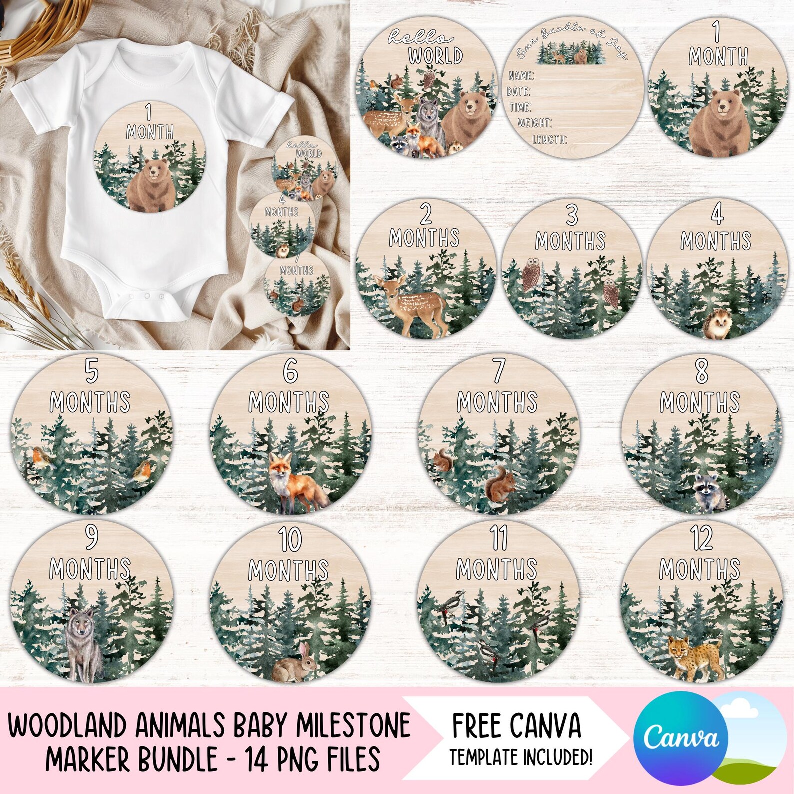 Woodland Animals Baby Monthly Milestone Marker PNG Bundle Baby ...