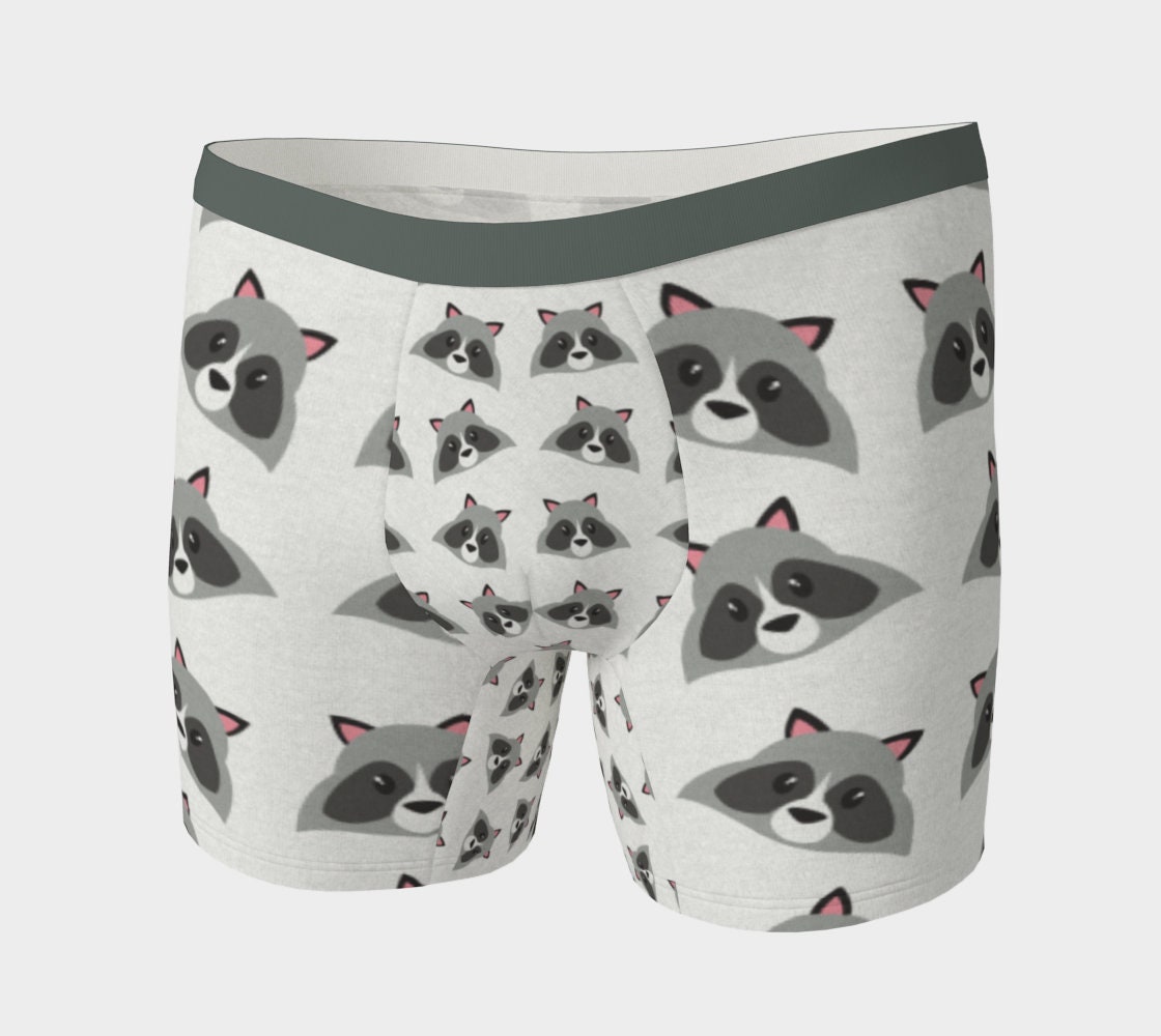 Raccoons Boxers Briefs Shorts for Men - Etsy