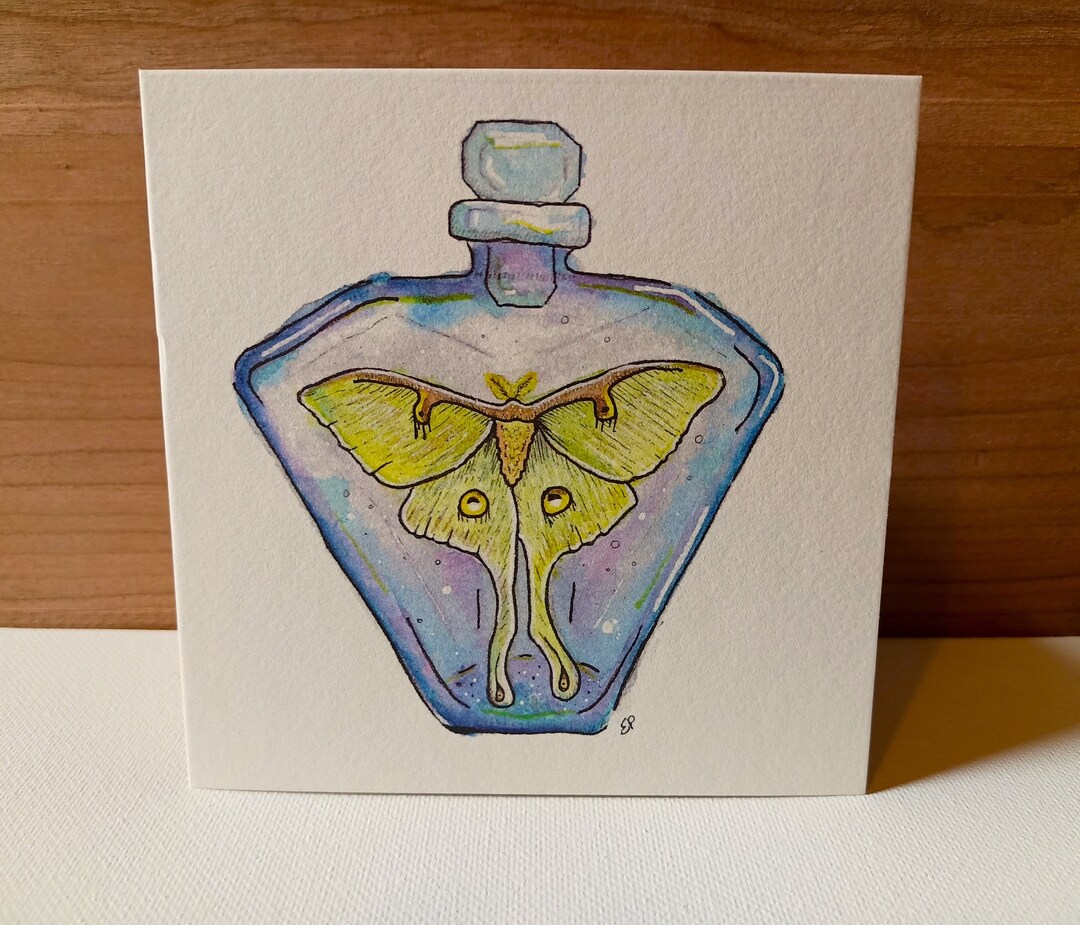 Watercolor and Ink Luna Moth Print - Etsy