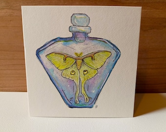 Watercolor and Ink Luna Moth Print