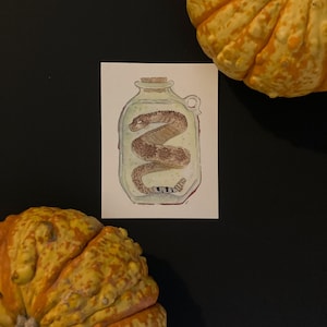 Watercolor and Ink Rattlesnake Jar